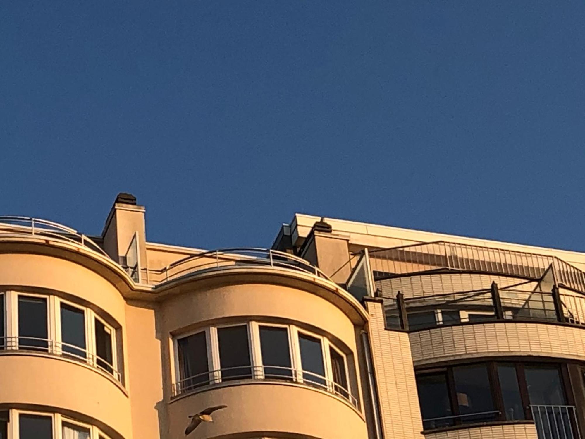 El Mirador Penthouse Paris Apartment ออสเทนด์ ภายนอก รูปภาพ